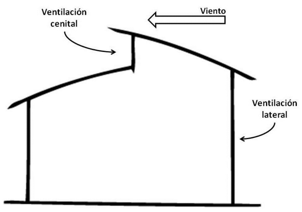 Esquema del invernadero ideal en el trópico (900-1200 msnm) con techo curvo a dos aguas y ventilación cenital y lateral.