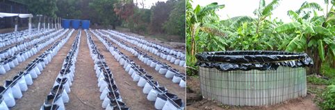 EXPERIENCIA DE INVESTIGACIÓN AGROECOLÓGICA EN SISTEMAS INTEGRADOS DE PRODUCCIÓN AGRÍCOLA INSULARES DE VENEZUELA