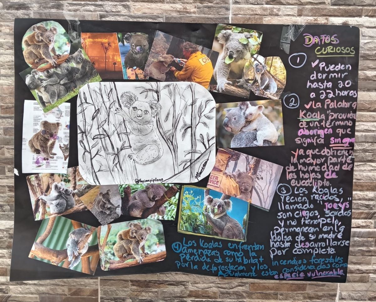 Por: Maryam Musa Fannh De la O – México