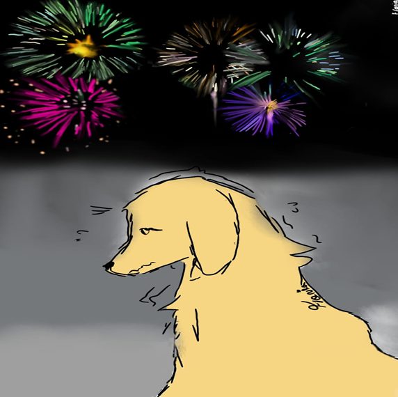 Frania Natividad Pérez Rosales 