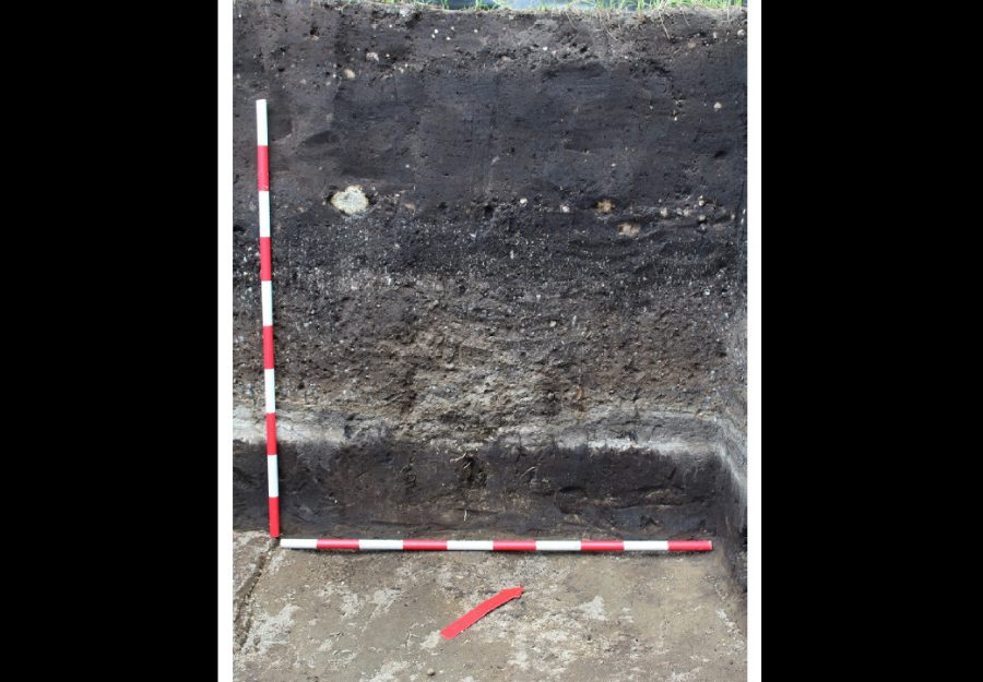 Figura 5: Perfil pedoestratigráfico en el yacimiento UC001.Fuente: Bermúdez Restrepo (2025, p. 62, Fig. 6).