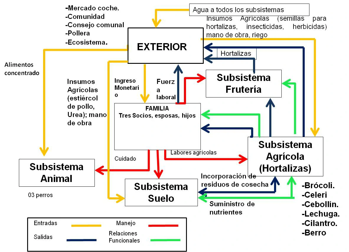 Diagrama de flujo del modelo sistémico actual